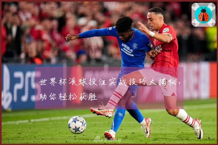 世界杯滚球投注实战技巧大揭秘，助你轻松获胜