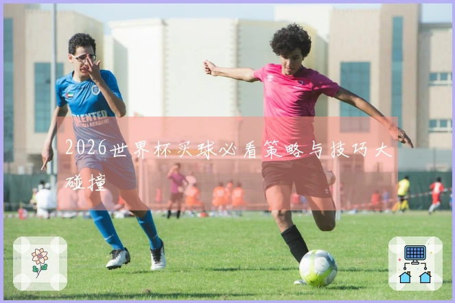 2026世界杯买球必看策略与技巧大碰撞