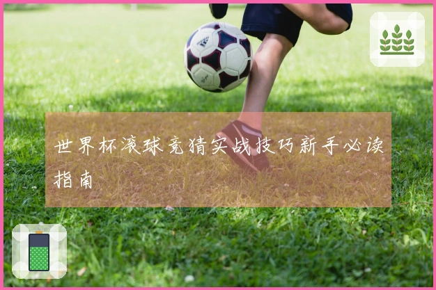 世界杯滚球竞猜实战技巧新手必读指南