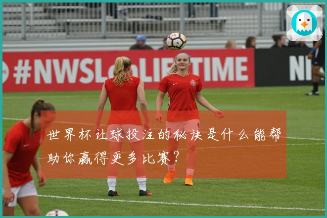 世界杯让球投注的秘诀是什么能帮助你赢得更多比赛？