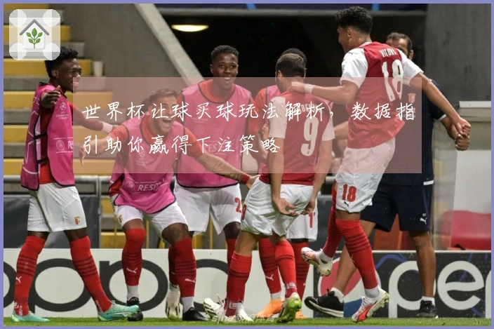 世界杯让球买球玩法解析，数据指引助你赢得下注策略