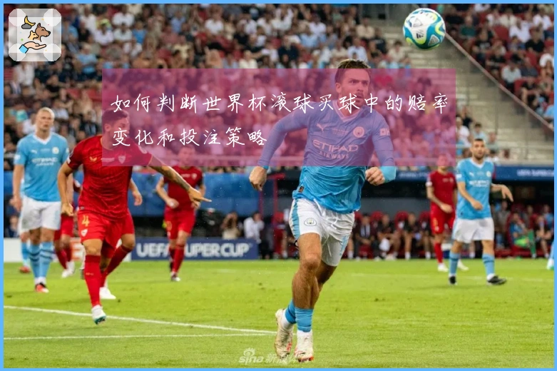 如何判断世界杯滚球买球中的赔率变化和投注策略