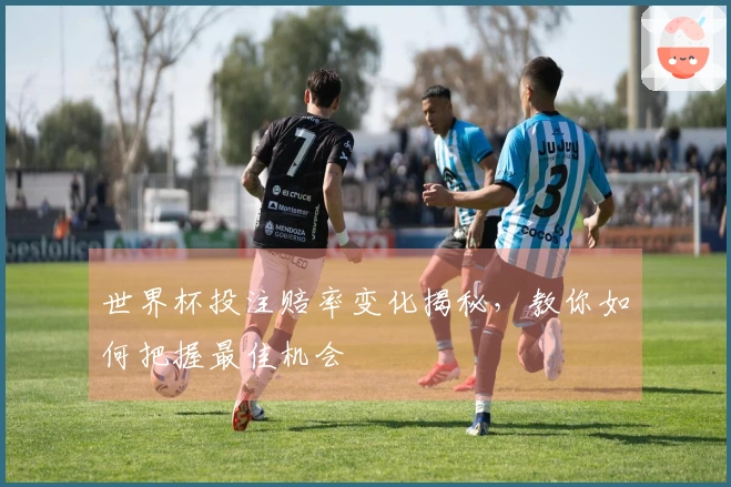 世界杯投注赔率变化揭秘，教你如何把握最佳机会