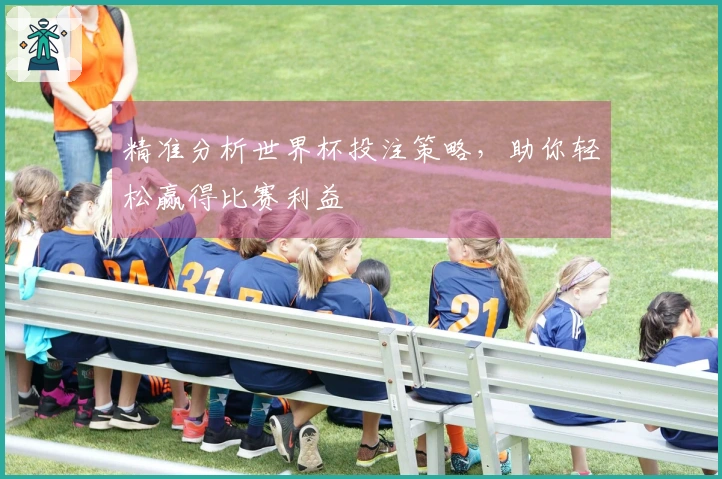 精准分析世界杯投注策略，助你轻松赢得比赛利益