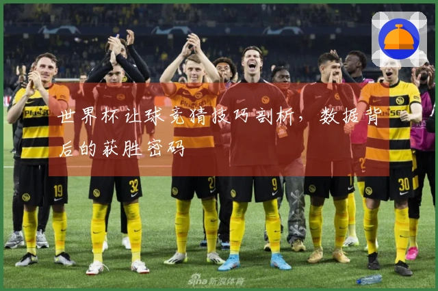 世界杯让球竞猜技巧剖析，数据背后的获胜密码